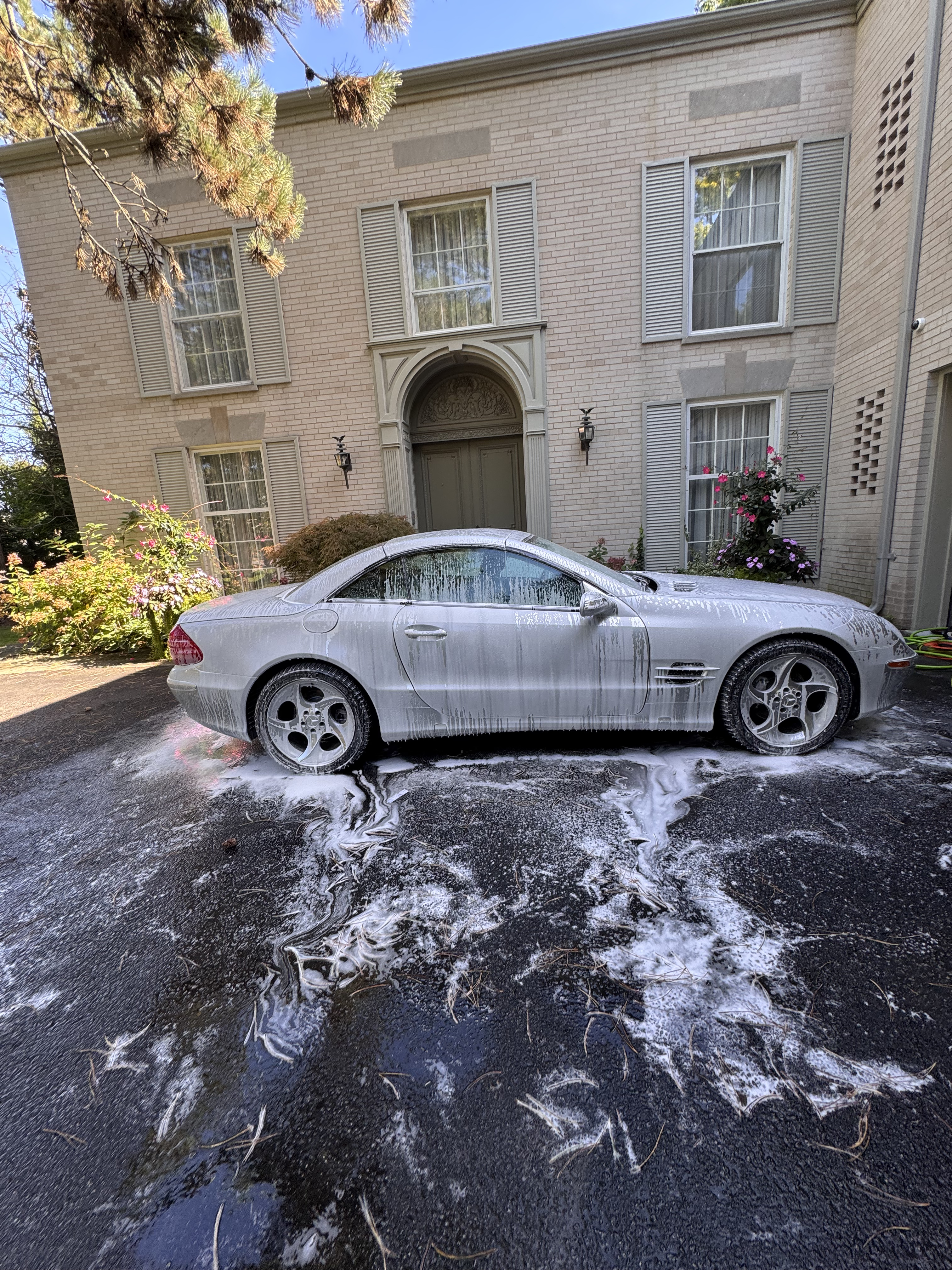 Premium car detailing in progress